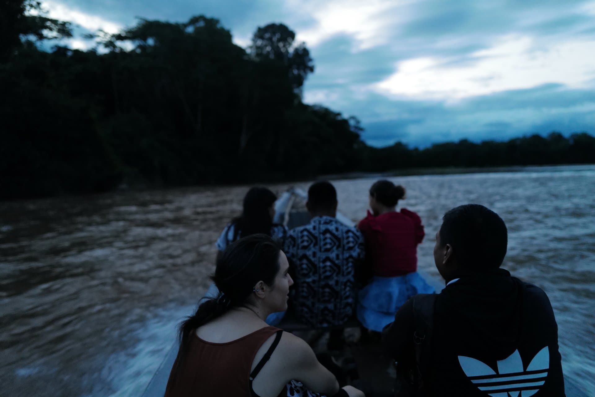 Amazon rainforest research
