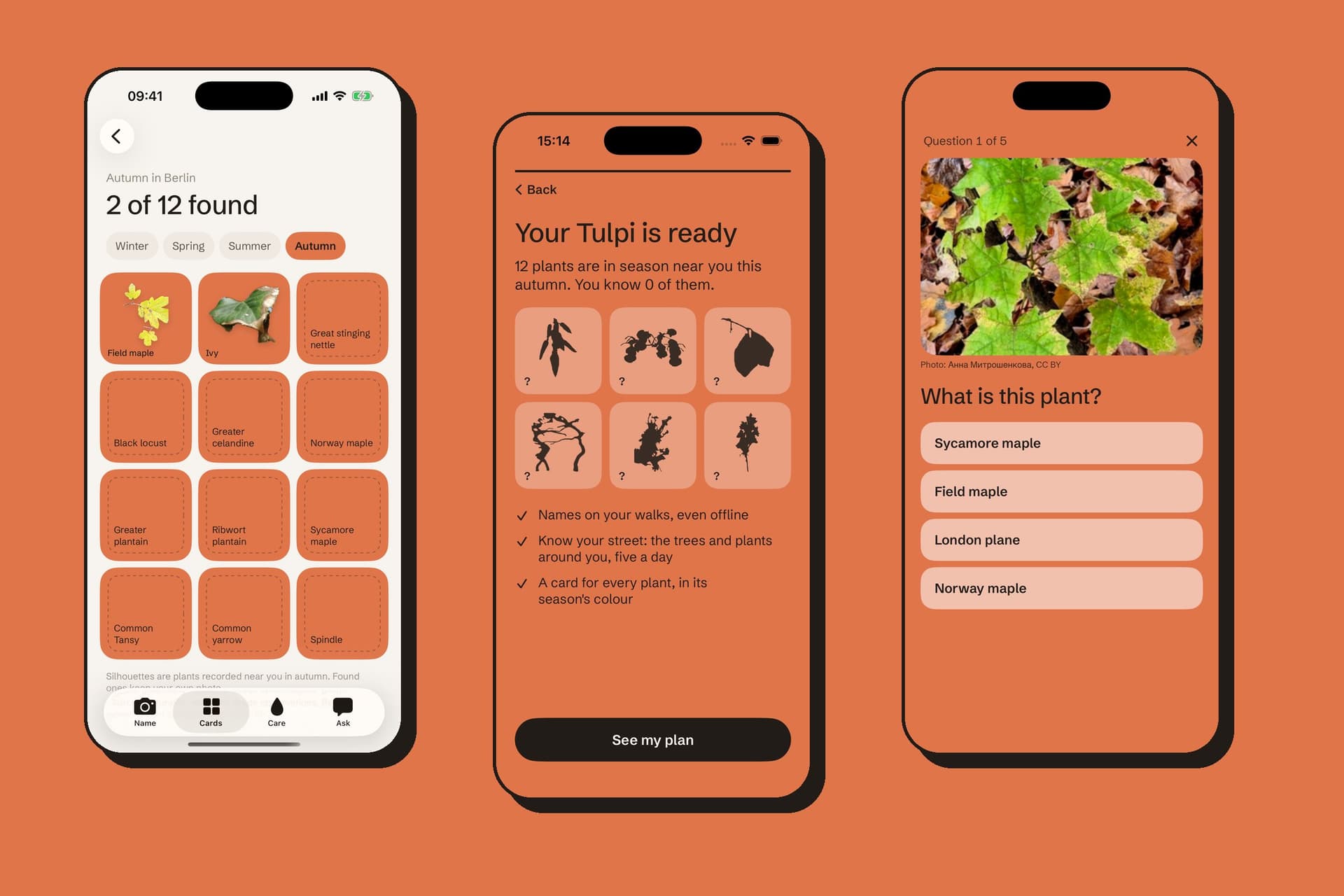 Three app screens on a rust field: the autumn season set with two of twelve found, the onboarding result with twelve plants in season near you, and the daily plant question