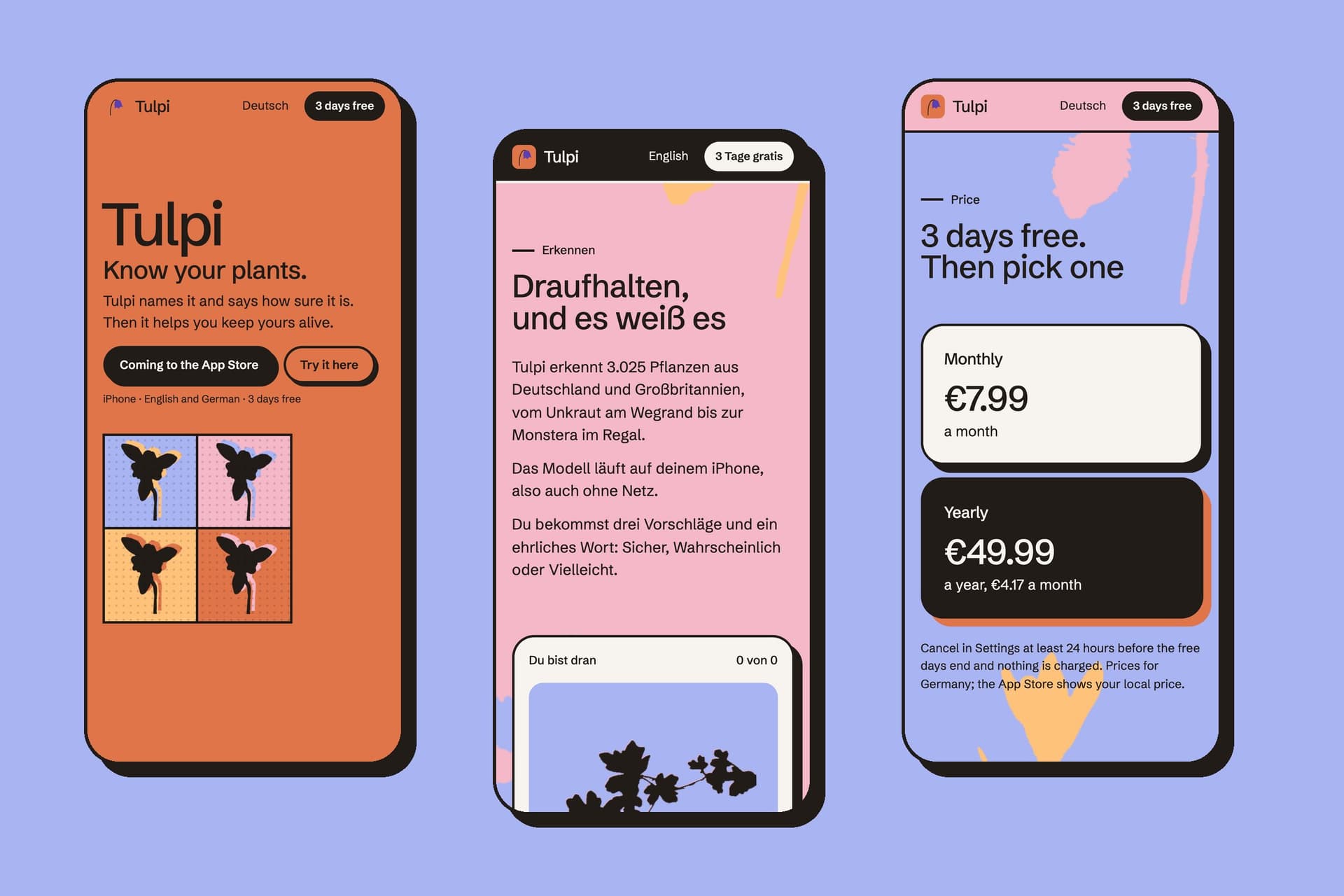 The Tulpi website on three phones: the opening, the German naming room with the quiz, and the price room