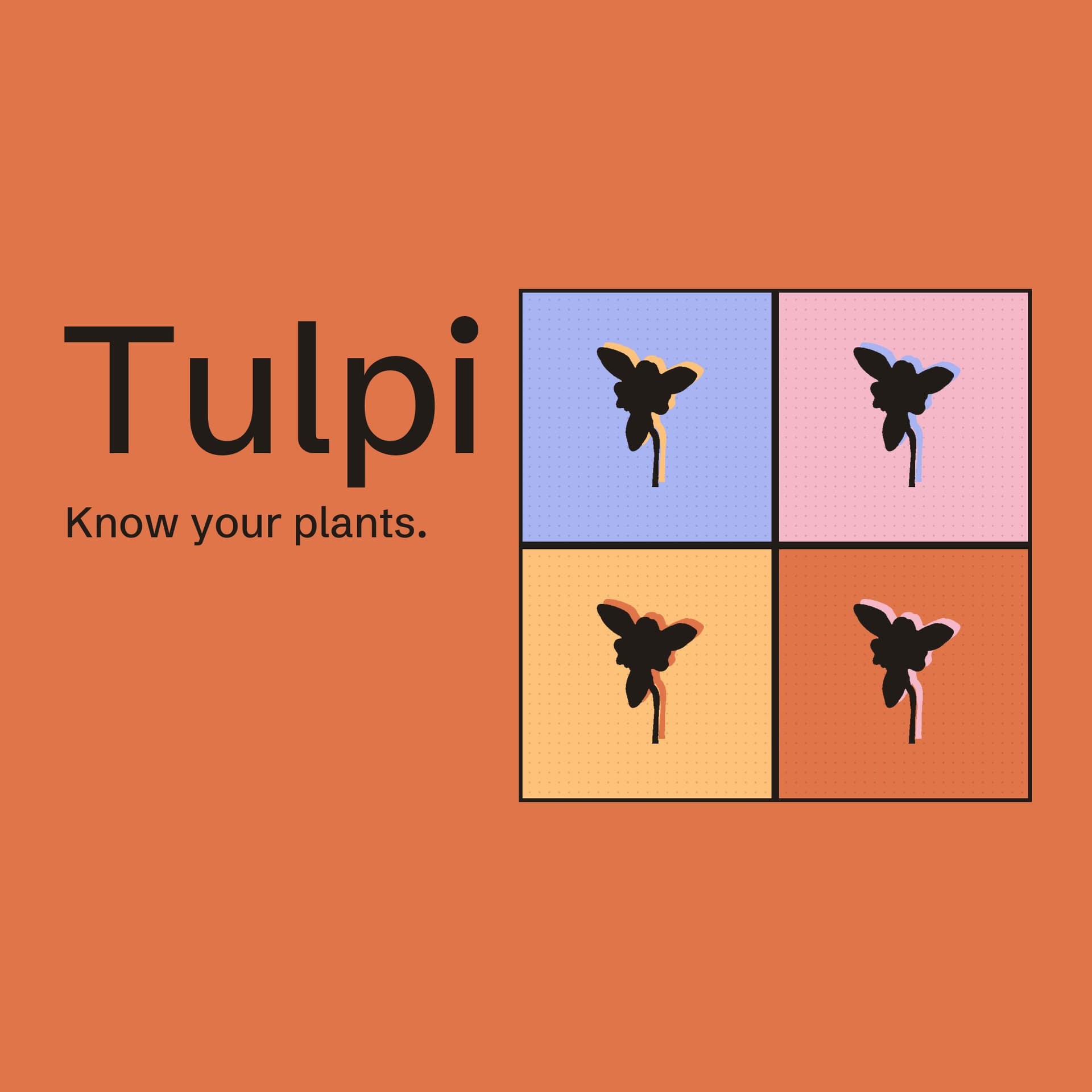 Tulpi · A Plant App That Says How Sure It Is