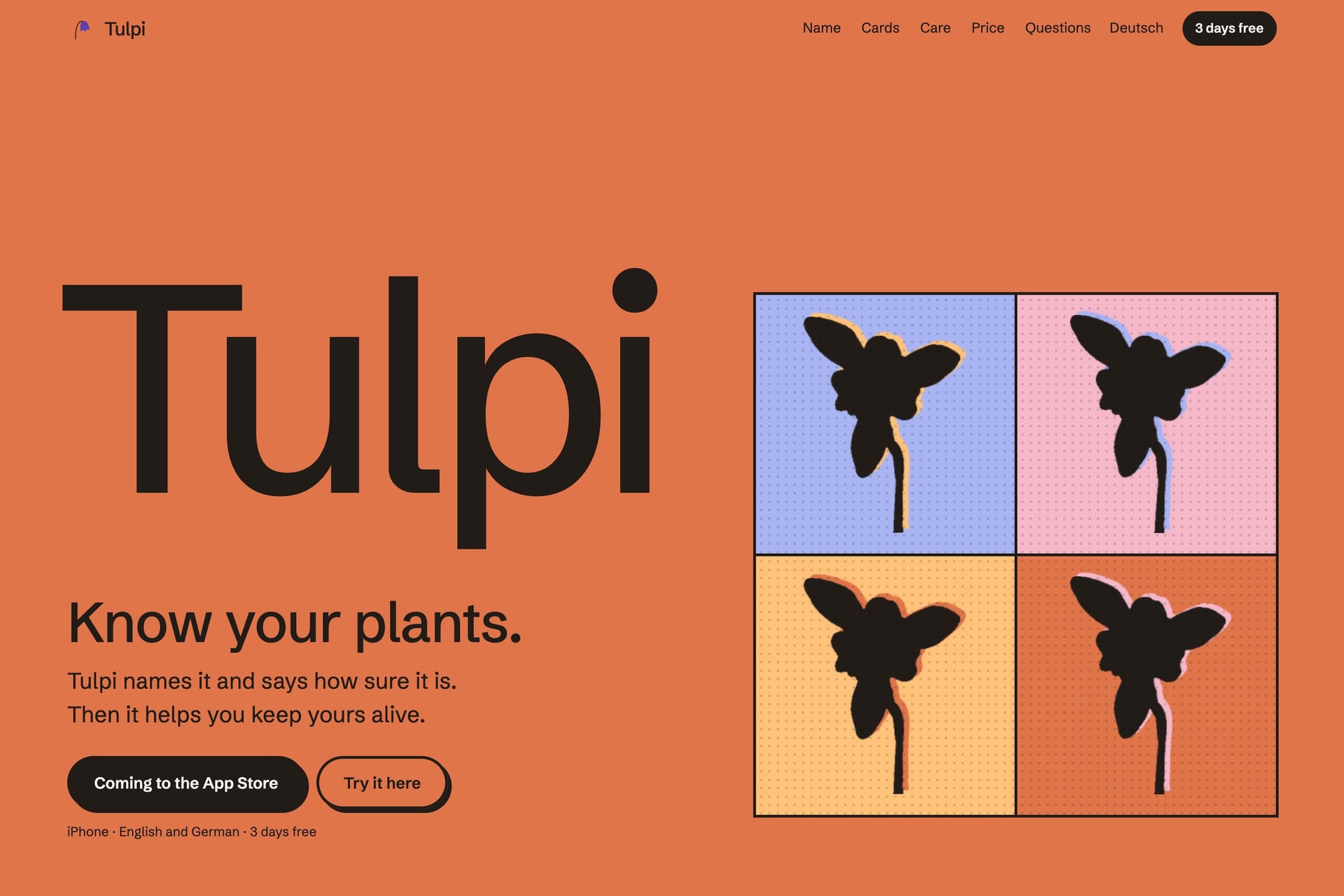 Tulpi